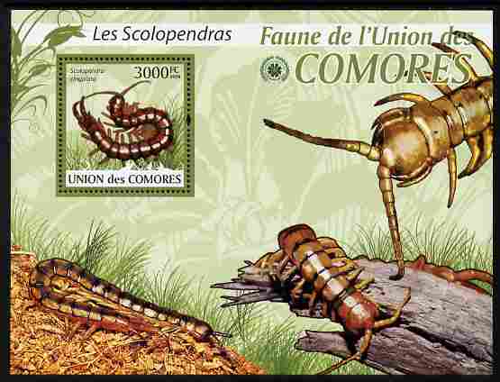 Comoro Islands 2009 Centipede perf m/sheet unmounted mint Michel BL 510, stamps on insects