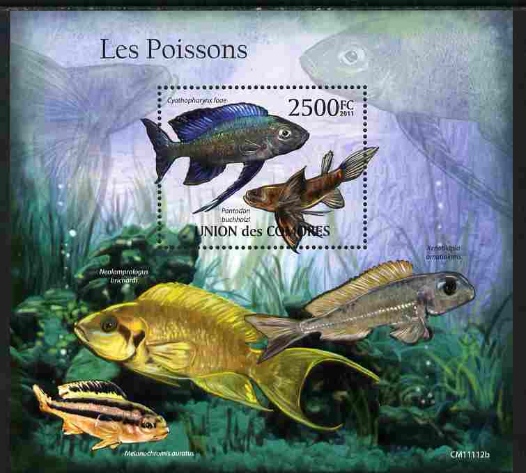 Comoro Islands 2011 Fish perf m/sheet unmounted mint, stamps on , stamps on  stamps on fish