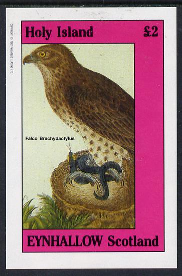 Eynhallow 1982 Falcon imperf deluxe sheet (Â£2 value) unmounted mint, stamps on birds, stamps on snake, stamps on birds of prey, stamps on falcons, stamps on snake, stamps on snakes, stamps on 
