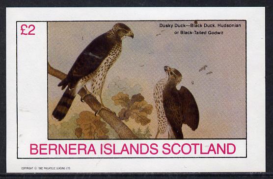 Bernera 1982 Birds #45 (Falcon) imperf deluxe sheet (Â£2 value) unmounted mint, stamps on birds, stamps on falcons, stamps on birds of prey