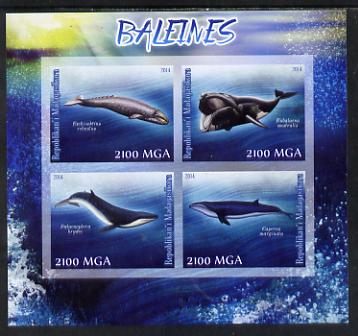 Madagascar 2014 Whales imperf sheetlet containing 4 values unmounted mint, stamps on , stamps on  stamps on whales, stamps on  stamps on marine life