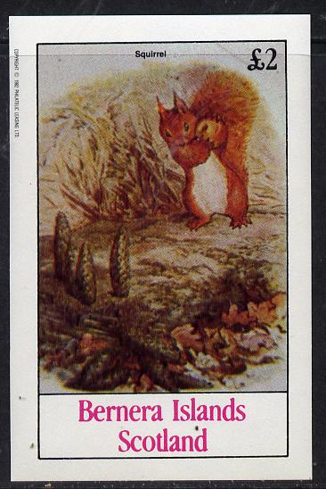 Bernera 1982 Squirrels #1 imperf deluxe sheet (Â£2 value) unmounted mint, stamps on animals       squirrels     rodents