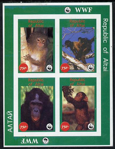 Altaj Republic 1996 WWF imperf sheetlet containing complete set of 4 Monkeys unmounted mint, stamps on wwf       animals    apes, stamps on  wwf , stamps on 