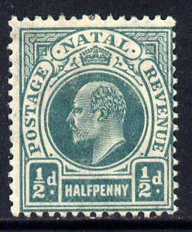Natal 1904-08 KE7 MCA Postage-Revenue 1/2d blue-green mounted mint SG 146, stamps on , stamps on  ke7 , stamps on 