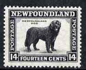 Newfoundland 1932 Newfoundland Dog 14c comb perf 13.5 unmounted mint, SG 216*, stamps on dogs, stamps on  kg5 , stamps on newfoundland 