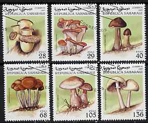 Sahara Republic 1997 Mushrooms complete perf set of 6 cto used*, stamps on fungi