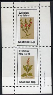 Eynhallow 1982 Plants (Winter Rocket & Savory) perf  set of 2 values (40p & 60p) unmounted mint, stamps on flowers