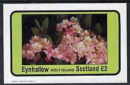 Eynhallow 1982 Flowers #09 imperf  deluxe sheet (Â£2 value) unmounted mint, stamps on flowers   rhodedendrons