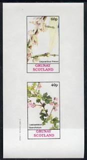 Grunay 1982 Flowers #03 (Calycanthus & Lasiopetalum) unmounted mint imperf set of 2 (40p & 60p), stamps on flowers