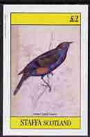 Staffa 1982 Golden Eared Grakle imperf deluxe sheet (Â£2 value) unmounted mint, stamps on birds      
