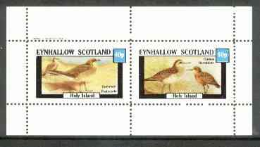 Eynhallow 1982 Birds #22 (Pratincole & Sandpiper) perf set of 2 values unmounted mint, stamps on birds   