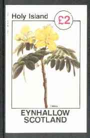 Eynhallow 1982 Flowers #26 (Cassia) imperf deluxe sheet (Â£2 value) unmounted mint, stamps on flowers
