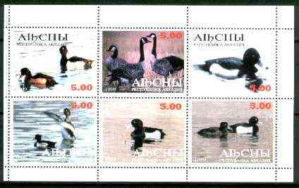 Abkhazia 1999 Ducks perf sheetlet containing set of 6 values unmounted mint, stamps on birds, stamps on ducks