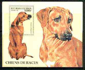 Benin 1997 Dogs (Ridgeback) perf m/sheet unmounted mint, SG MS 1496, stamps on dogs, stamps on ridgeback