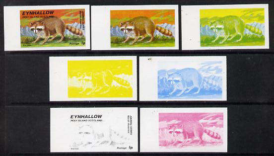 Eynhallow 1977 North American Animals 1p (Racoon) set of 7 imperf progressive colour proofs comprising the 4 individual colours plus 2, 3 and all 4-colour composites unmounted mint, stamps on animals