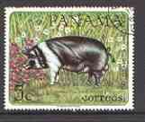 Panama 1967 black & white pig 5c fine used, from Domestic Animals set of 8, SG 938 (tete-beche pairs price x 2), stamps on animals, stamps on swine