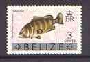 Belize 1973 Misty Grouper Fish 3c from optd def set with new Country name, unmounted mint, SG 350, stamps on fish