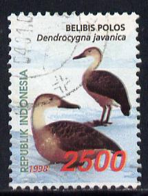 Indonesia 1998 Waterfowl (2nd series) 2,500r Indian Whistling Duck fine commercially used, SG 2473, stamps on birds, stamps on ducks, stamps on 