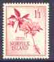 Norfolk Island 1961 fringed Hibiscus 1s1d (from 1960 def set) unmounted mint SG 31, stamps on , stamps on  stamps on flowers, stamps on  stamps on hibiscus