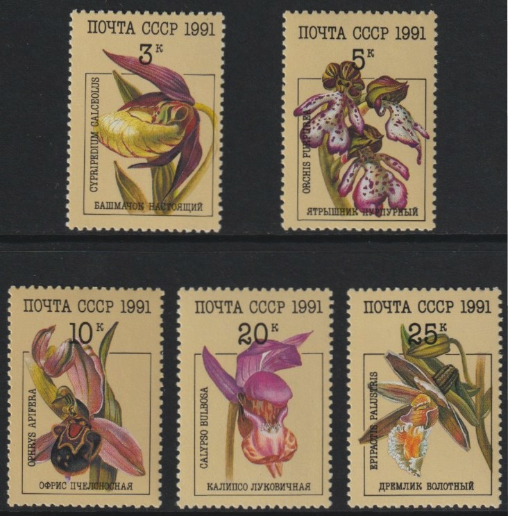 Russia 1991 Orchids complete set of 5 unmounted mint, SG 6247-51, Mi 6192-96*, stamps on flowers, stamps on orchids