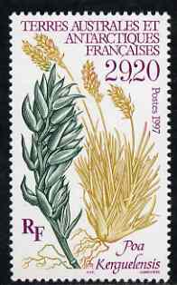 French Southern & Antarctic Territories 1997 Poa Kerguelensis (Plant) unmounted mint SG 373, stamps on flowers, stamps on plants