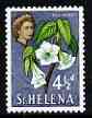 St Helena 1961 Red Wood Flower 4.5d from def set (with lace background) unmounted mint, SG 180, stamps on lace, stamps on flowers