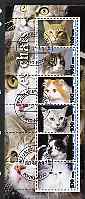 Benin 2003 Domestic Cats #01 perf sheetlet containing 6 values cto used, stamps on cats