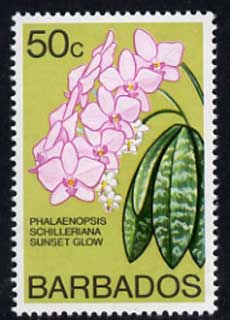 Barbados 1975-79 Sunset Glow Orchid 50c unmounted mint SG 520, stamps on flowers, stamps on orchids