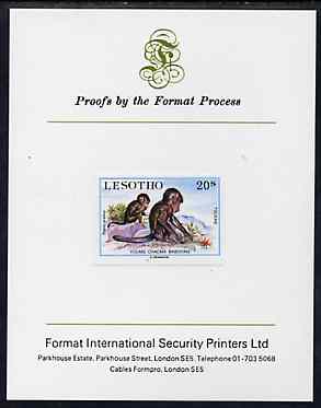 Lesotho 1984 Chacma Baboons 20s (from Baby Animals issue) imperf proof mounted on Format International proof card, as SG 612, stamps on animals, stamps on apes