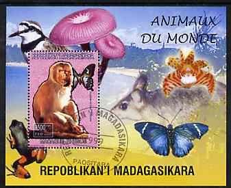 Madagascar 1999 Animals of the World #05 perf m/sheet showing Rhesus Macaque Monkey, background shows Frog, Bird, Butterfly, Fungi & Orchid, fine cto used, stamps on flowers, stamps on orchids, stamps on animals, stamps on apes, stamps on frogs, stamps on fungi, stamps on butterflies, stamps on 