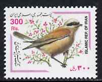 Iran 1999 Shrike 300r from birds def set unmounted mint, SG 2994, stamps on birds, stamps on shrike