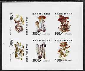Kalmikia Republic 1998 Fungi imperf sheetlet containing complete set of 6 values unmounted mint, stamps on fungi