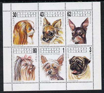 Bulgaria 1991 Dogs sheetlet containing set of 6 unmounted mint, SG 3784-89 (Mi 3929-34), stamps on animals  dogs    chin     chihuahua   pinscher   york-terrier   pug   mexican-hairless