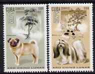 Cuba 2006 Chinese New Year - Year of the Dog perf set of 2 unmounted mint SG 4914-5, stamps on dogs, stamps on lunar, stamps on lunar new year