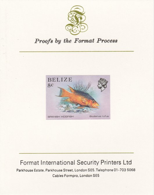 Belize 1984-88 Hogfish 5c def imperf proof mounted on Format International proof card as SG 770, stamps on fish     marine-life