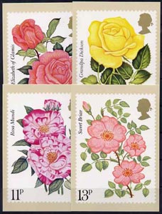 Great Britain 1976 Centenary of Royal National Rose Society set of 4 PHQ cards unused and pristine cat \A328, stamps on 