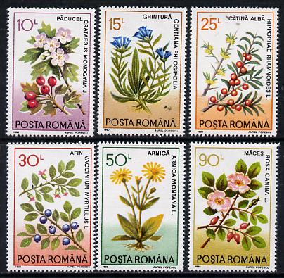 Rumania 1993 Medicinal Plants set of 6 unmounted mint, SG 5501-06, Mi 4866-71*, stamps on flowers, stamps on medical, stamps on medicinal plants