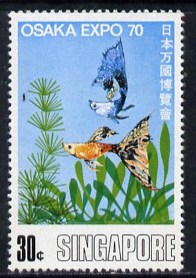 Singapore 1970 Osaka World Fair 30c Tropical Fish unmounted mint, SG 129, stamps on fish, stamps on marine-life
