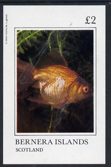 Bernera 1982 Ornamental Fish imperf deluxe sheet (Â£2 value) unmounted mint, stamps on fish     marine-life