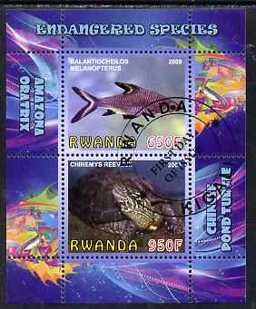 Rwanda 2009 Endangered Species - Pond Turtle & Silver Shark (inscribed Oratrix in error) perf sheetlet containing 2 values fine cto used, stamps on animals, stamps on fish, stamps on sharks, stamps on turtles