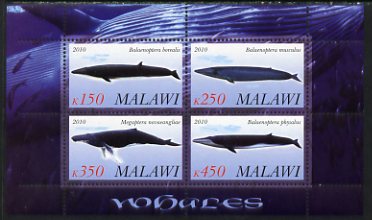 Malawi 2010 Whales perf sheetlet containing 4 values unmounted mint, stamps on marine life, stamps on whales