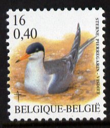 Belgium 2000-01 Birds #4 Common Tern 16f/0.40 Euro dual currency unmounted mint, SG 3546, stamps on birds, stamps on tern