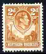 Northern Rhodesia 1938-52 KG6 2d yellow-brown unmounted mint, SG 31, stamps on , stamps on  kg6 , stamps on 