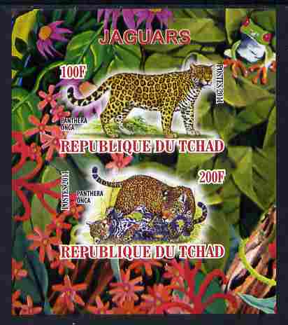 Chad 2011 Leopards imperf sheetlet containing 2 values unmounted mint, stamps on , stamps on  stamps on animals, stamps on  stamps on cats, stamps on  stamps on leopards