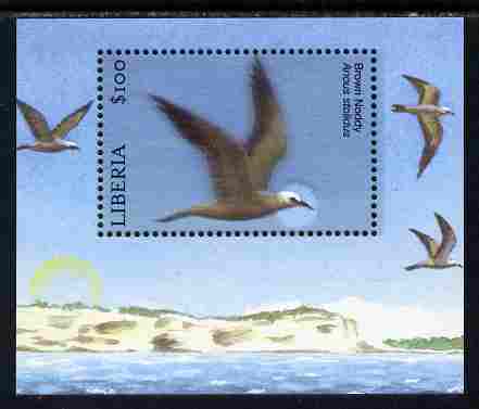 Liberia 2010 Birds perf m/sheet - Brown Noddy unmounted mint. , stamps on birds, stamps on noddy