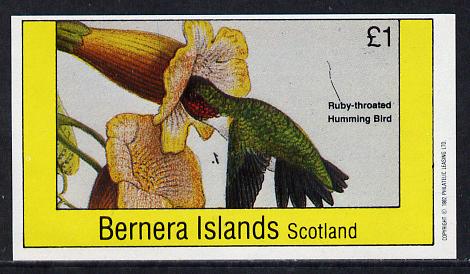 Bernera 1982 Humming Bird imperf souvenir sheet (Â£1 value) unmounted mint, stamps on birds     humming-birds, stamps on hummingbirds