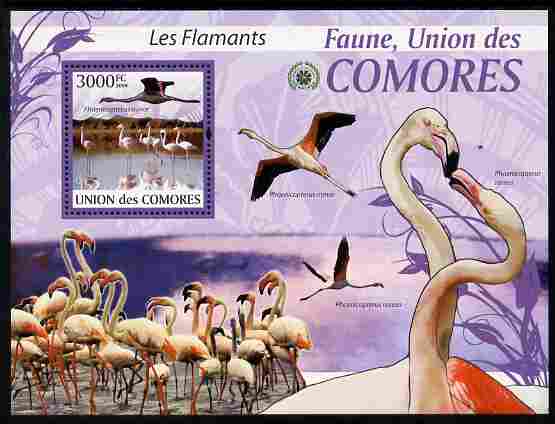 Comoro Islands 2009 Flamingos perf m/sheet unmounted mint Michel BL 524, stamps on birds, stamps on flamingoes
