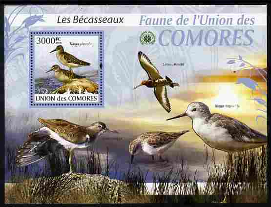 Comoro Islands 2009 Sandpipers perf m/sheet unmounted mint Michel BL 517, stamps on birds, stamps on sandpipers