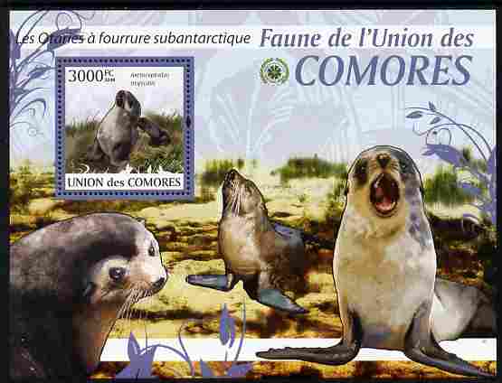 Comoro Islands 2009 Sea Lions perf m/sheet unmounted mint Michel BL 528, stamps on animals, stamps on marine life