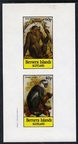 Bernera 1982 Primates (Hose's Langur) imperf  set of 2 values (40p & 60p) unmounted mint, stamps on animals    apes